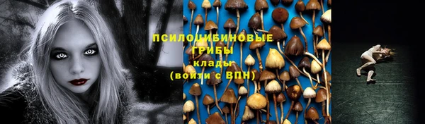 спайс Алзамай