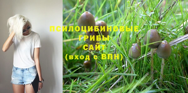 марки nbome Алексеевка